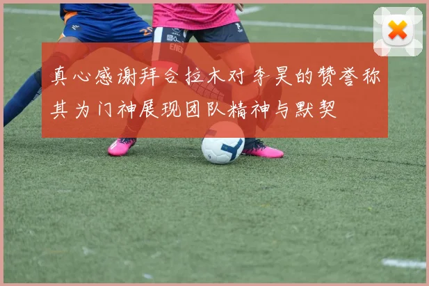 真心感谢拜合拉木对李昊的赞誉称其为门神展现团队精神与默契
