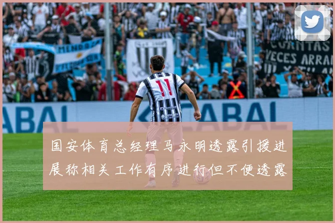 国安体育总经理马永明透露引援进展称相关工作有序进行但不便透露名字